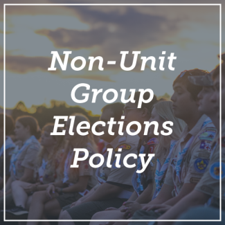 Non-Unit Group Elections Policy